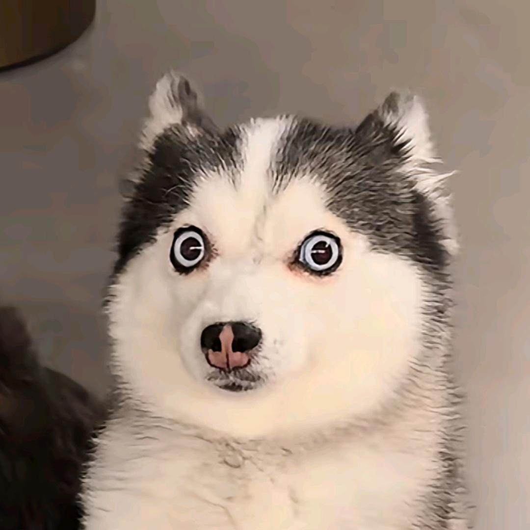 o̴