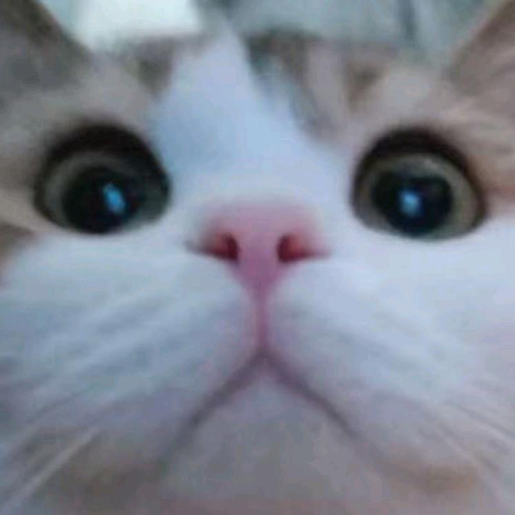 莫？