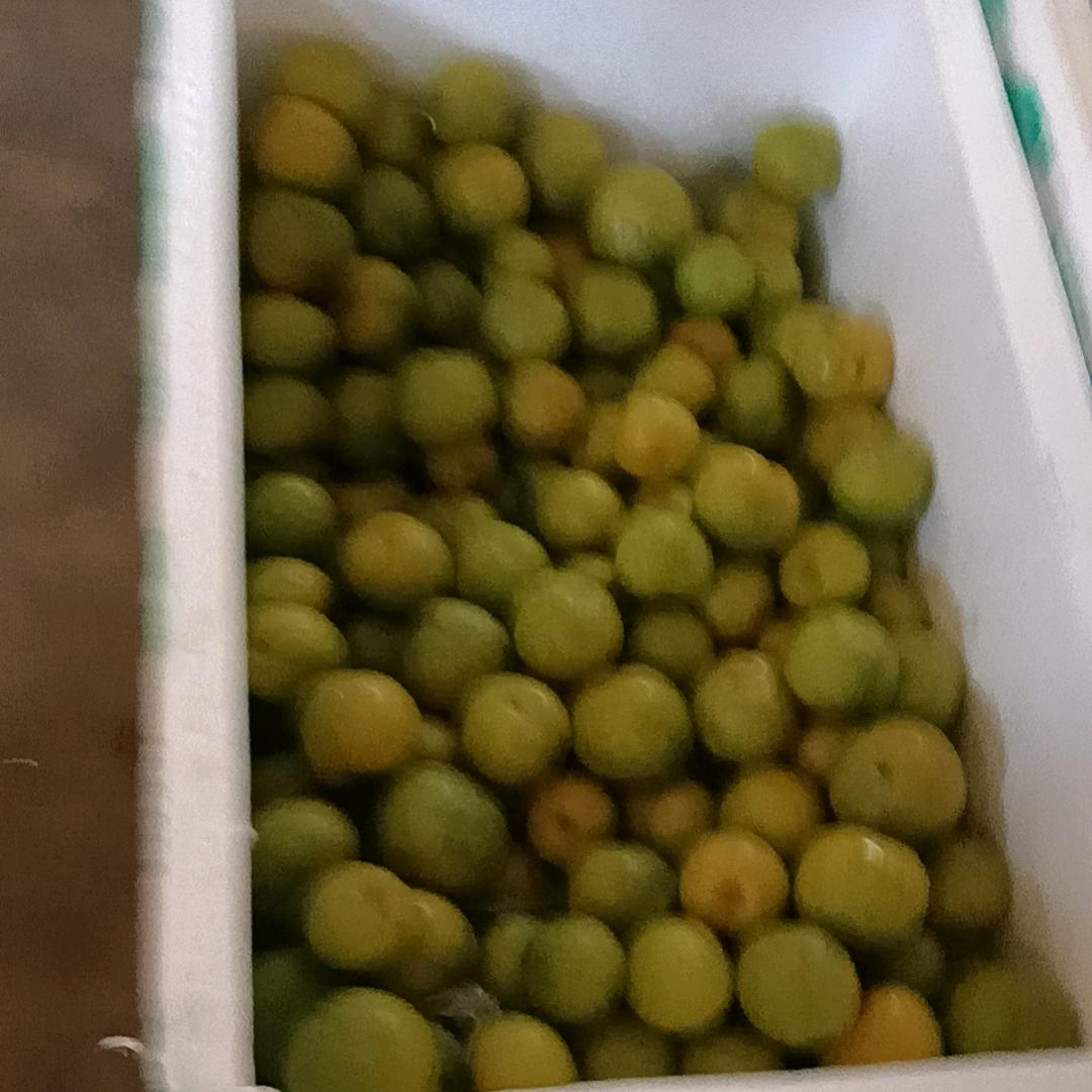 90后单身汉