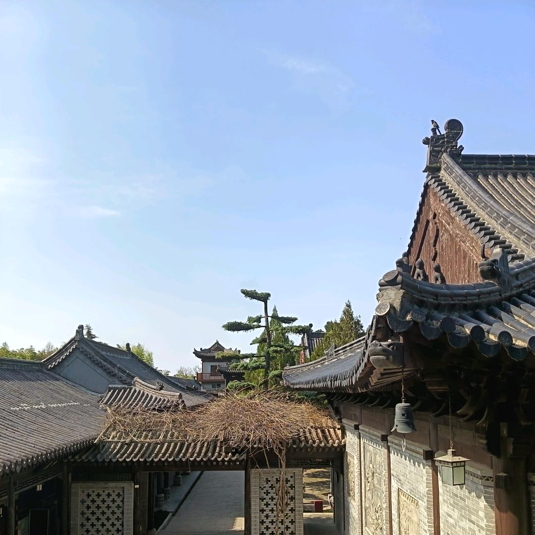 乘风翱翔