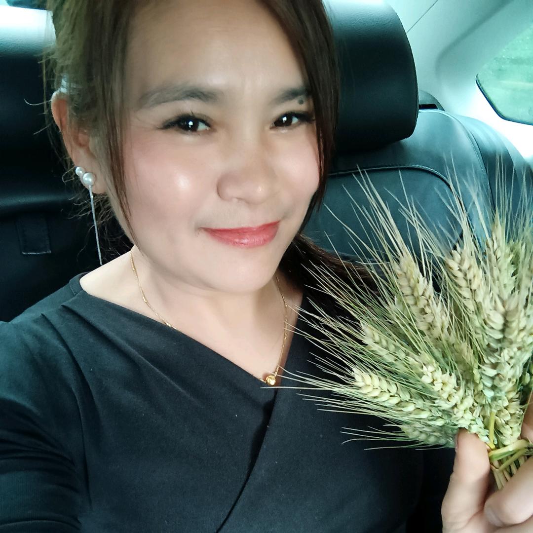 开心梅梅（三个儿子的妈妈）