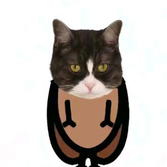 清水炖了大白菜