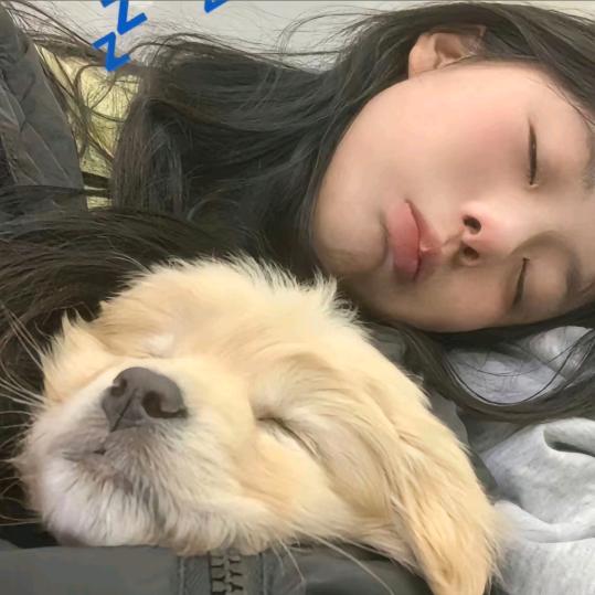 不想弹琴