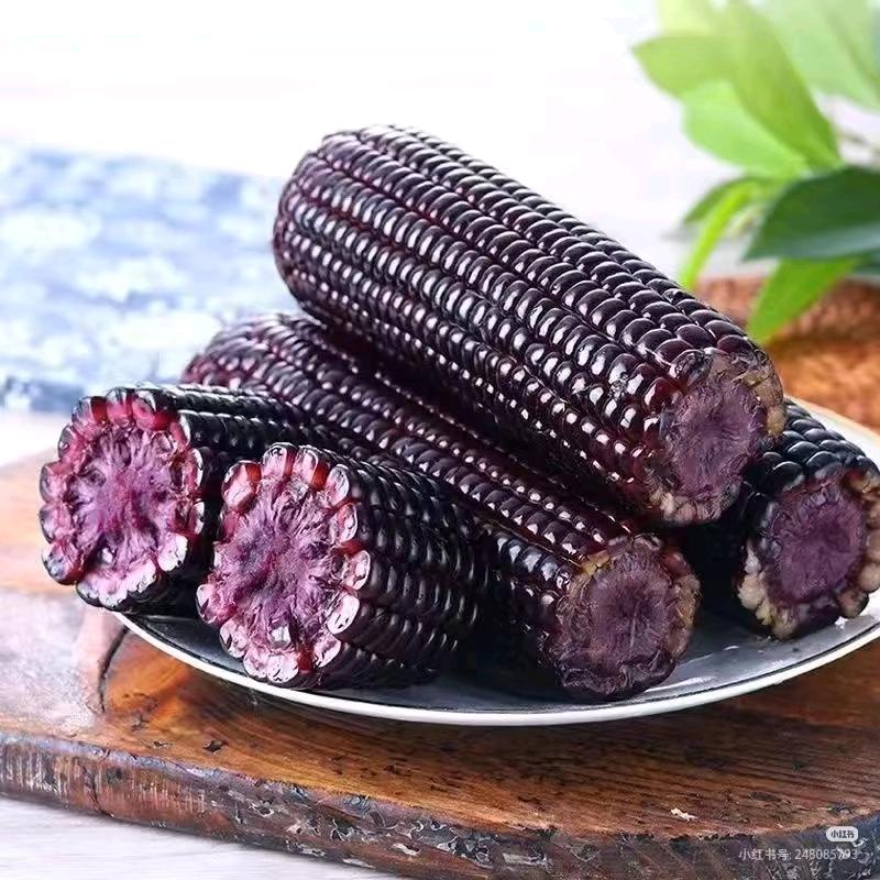 东北糯玉米2号仓