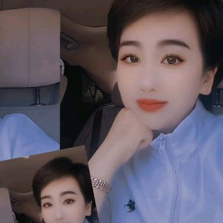 雁南飞222