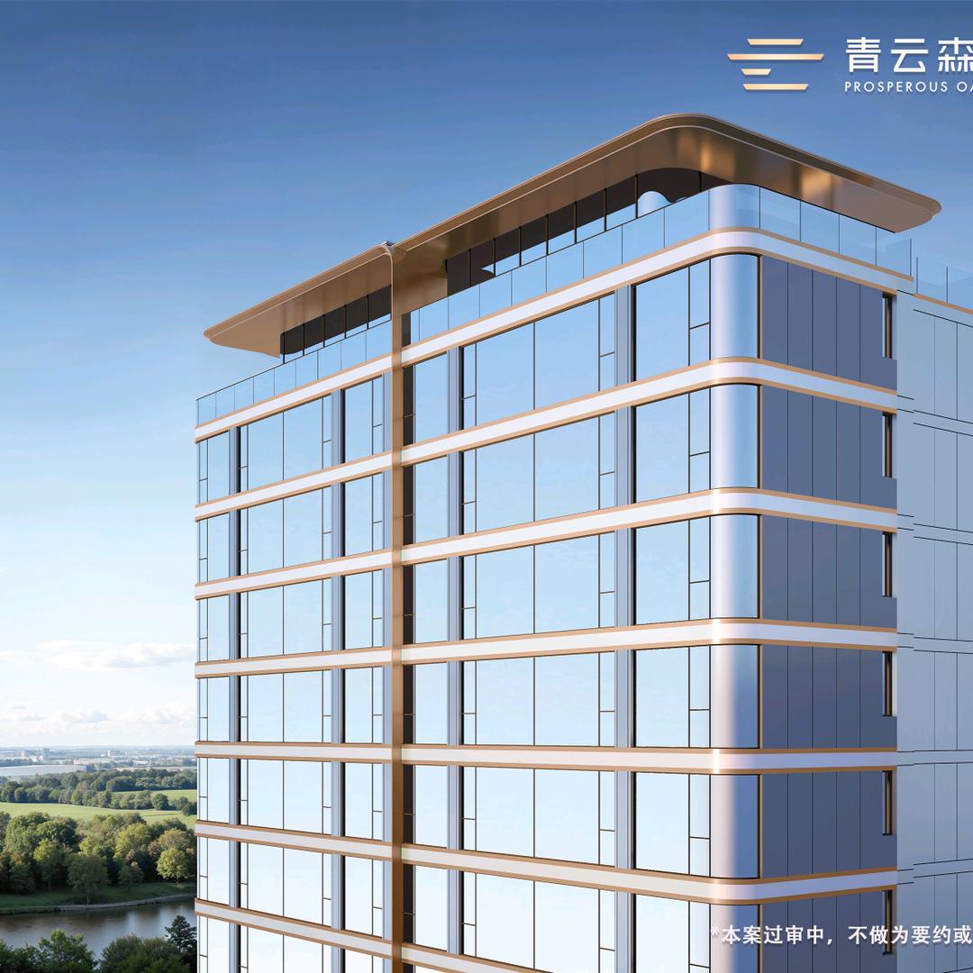 民权盛世名门～金双