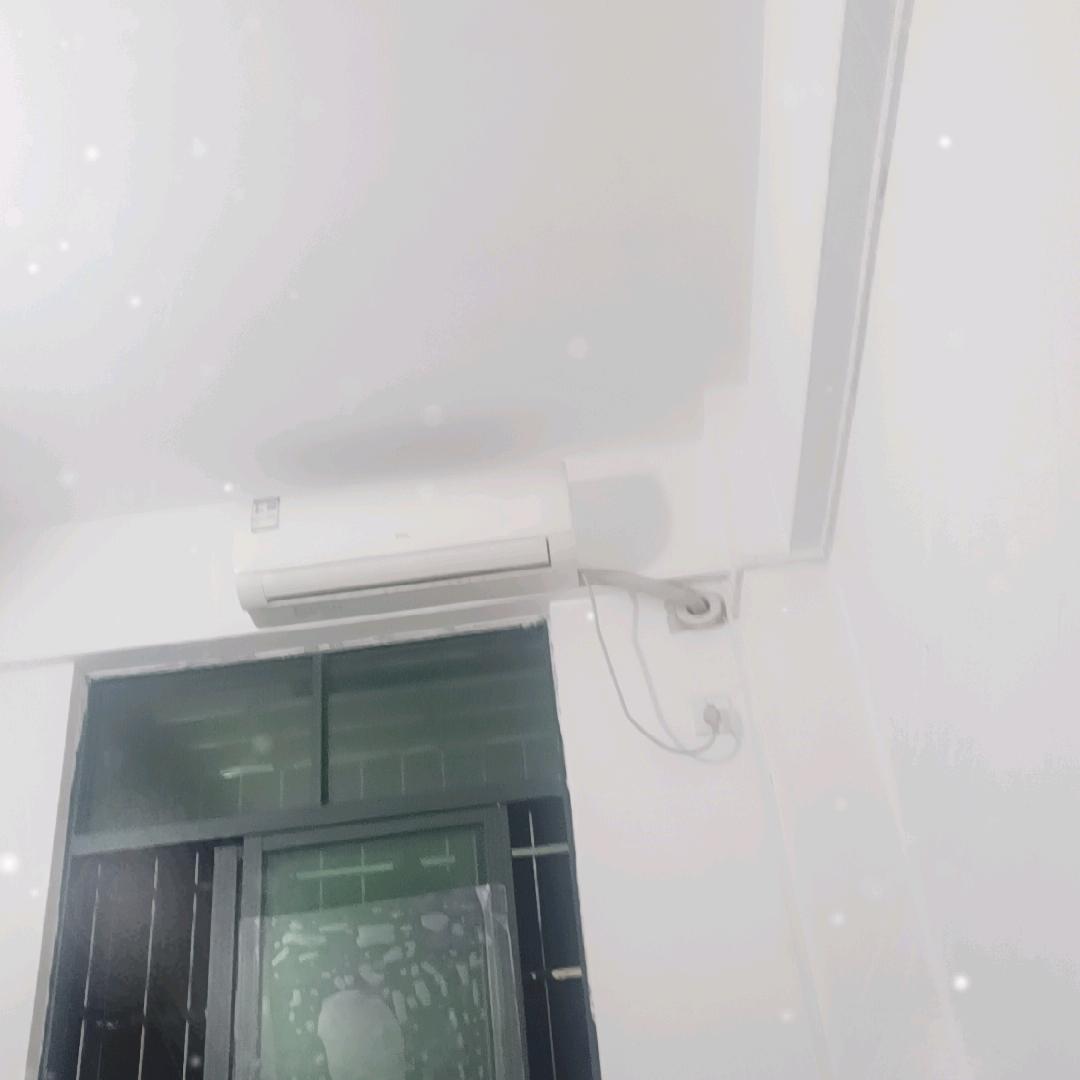 白龙马