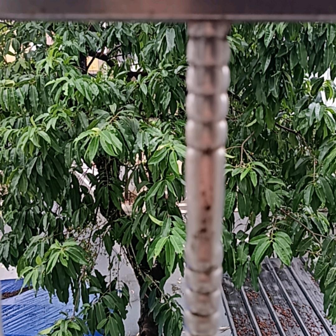 分