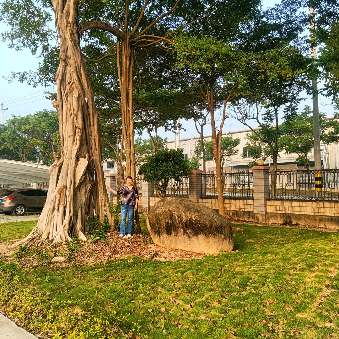 你笑起来真好看！