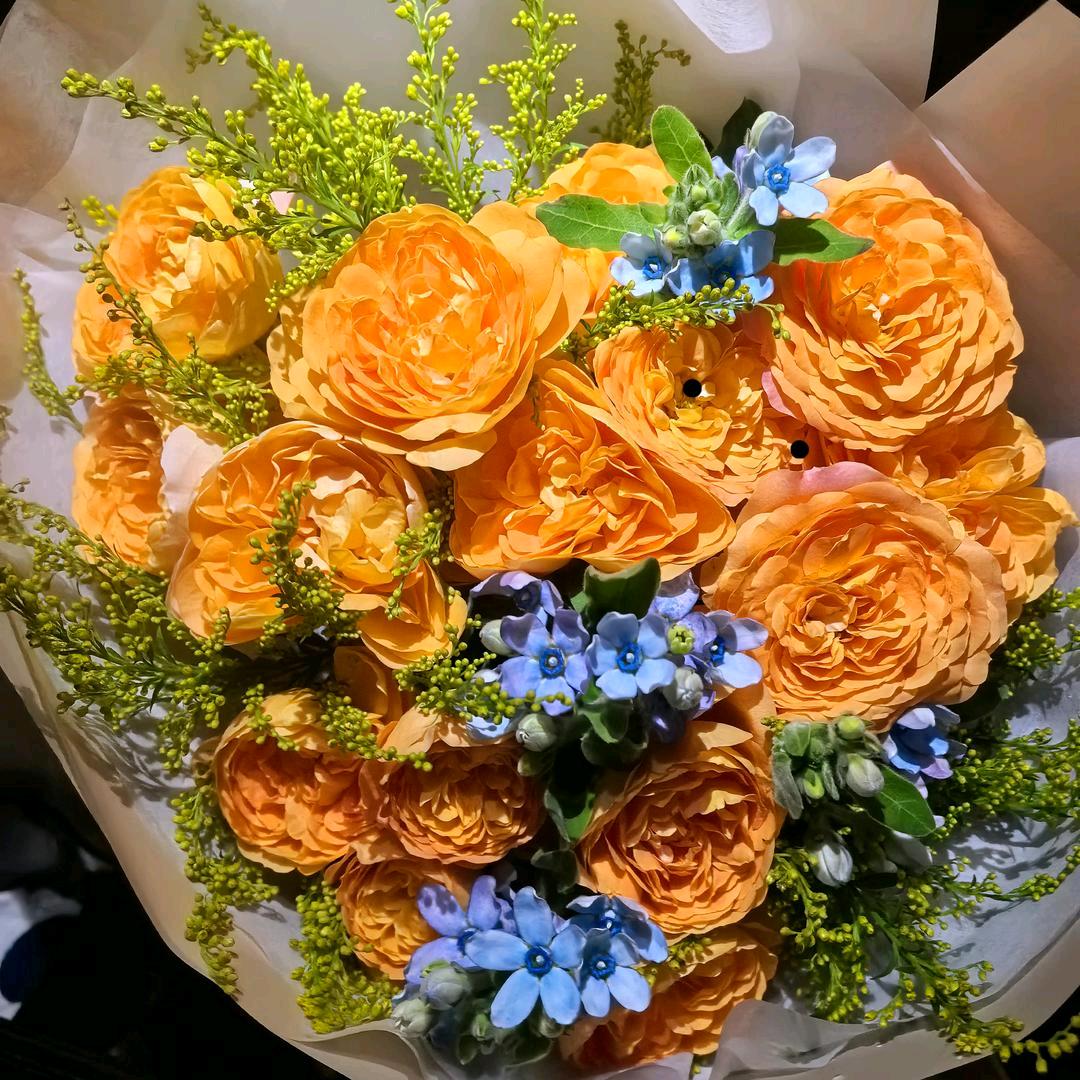那些花儿🌸🌻🌷🌼🌹🎋