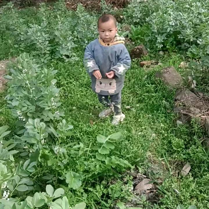 工地胡子哥(小号)