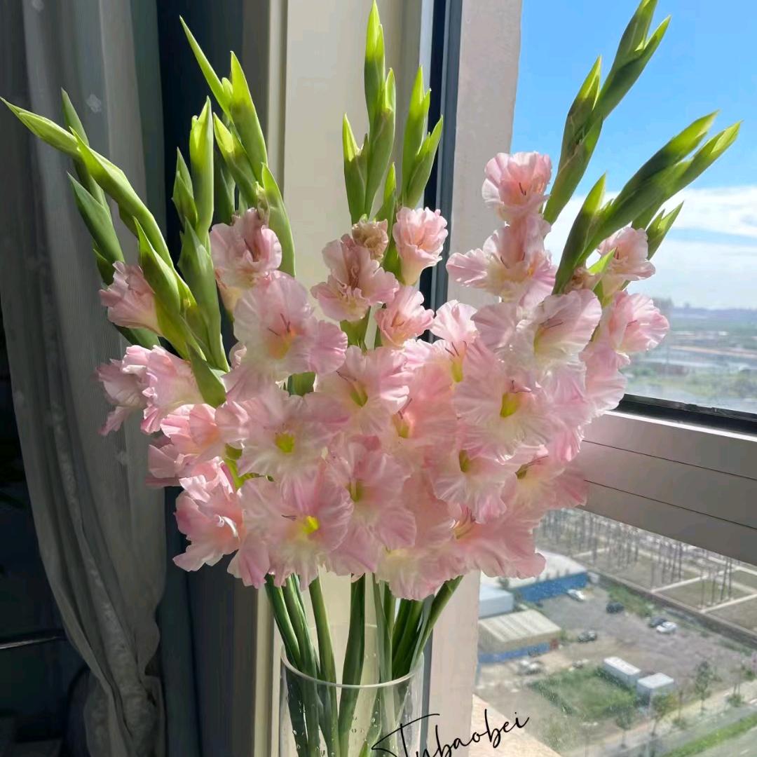 @终究是过客