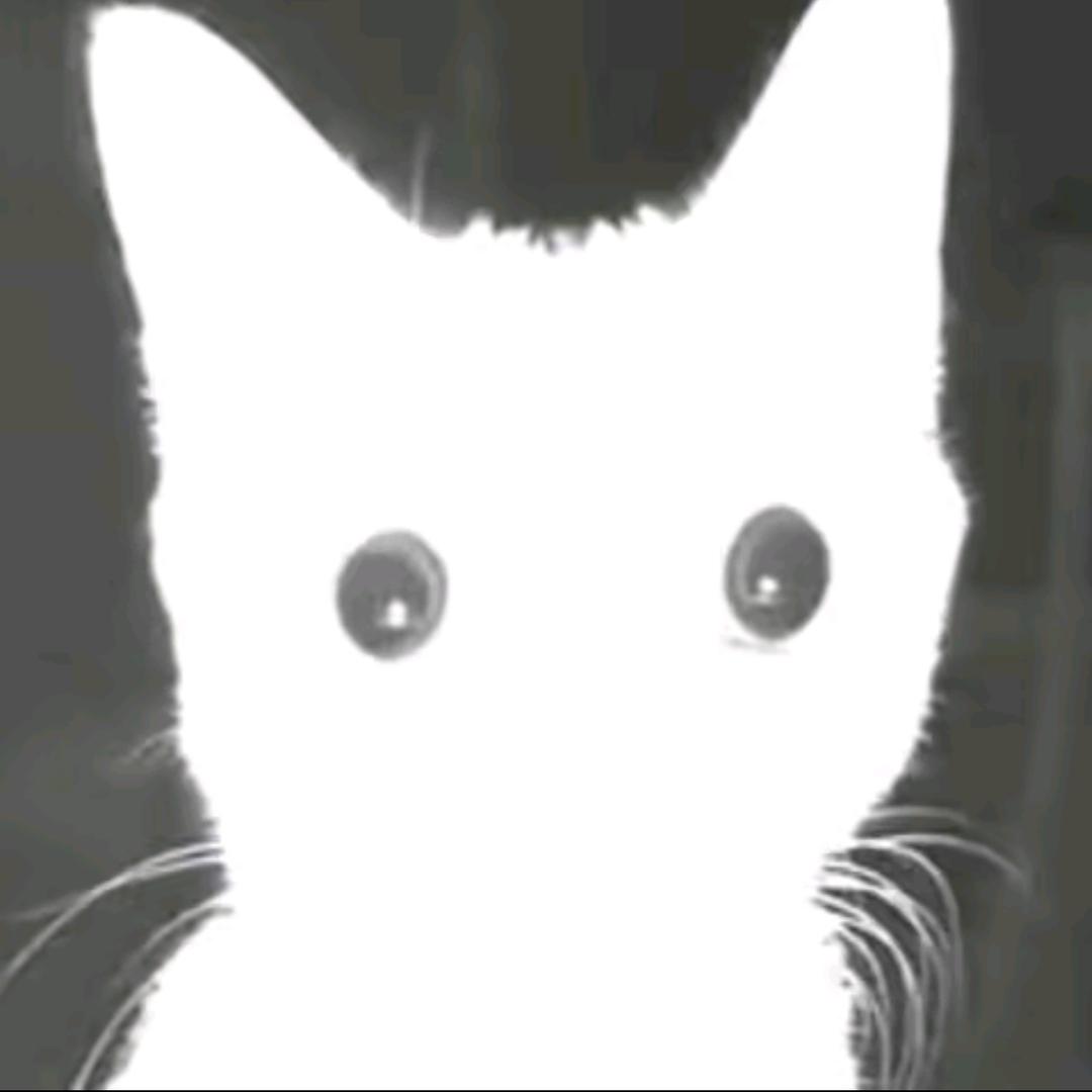 雾冰（暗区突围有限）