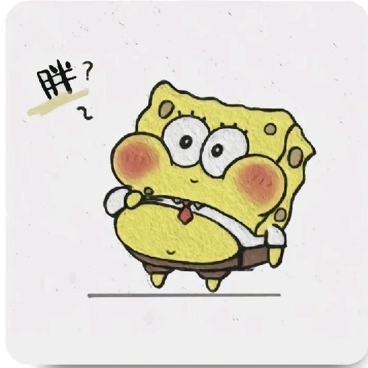 🎶 张 小 胖 🎶