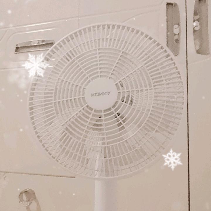 橙橙🍊
