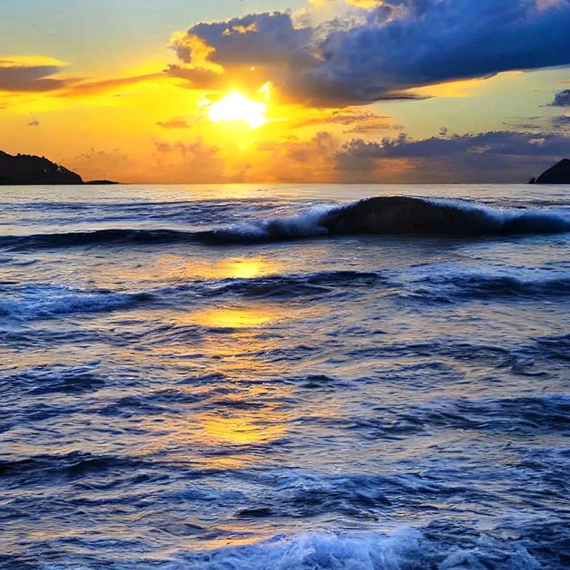 🌈飛流(承蒙厚爱)