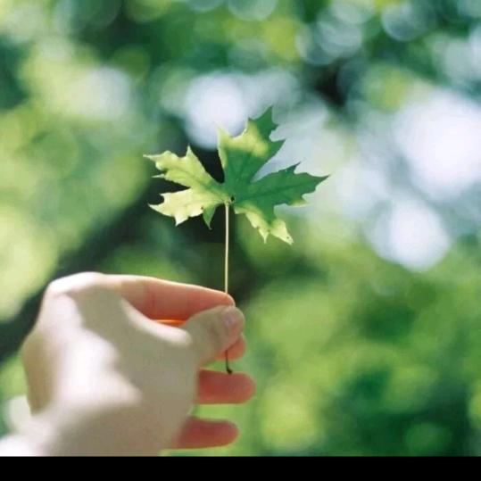 春暖花开！！！！