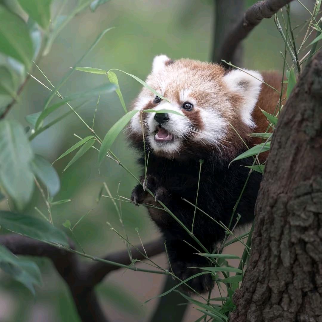 🍀🍀十一🍀🍀