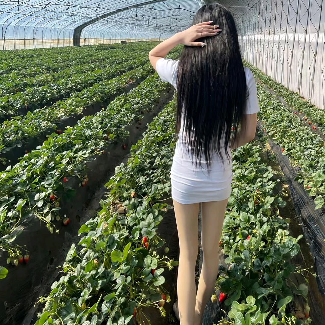 小白菜