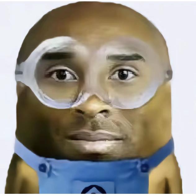 𝑾