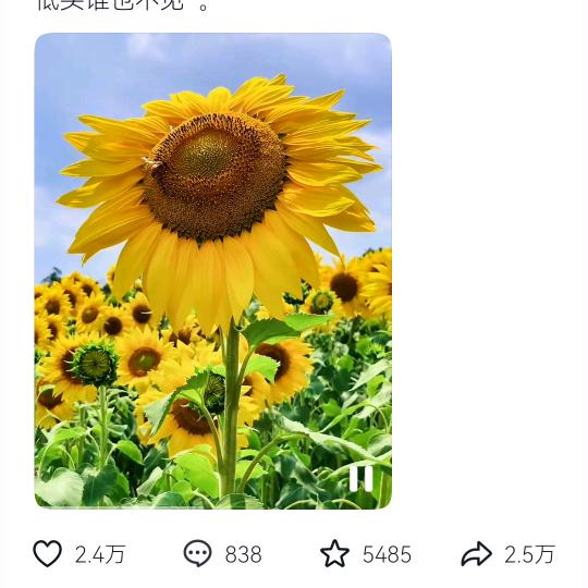 二胖子的啊冲刺三千万。