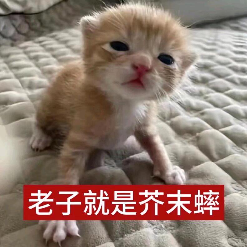 没有打不倒的对手，没有闯不过的难关