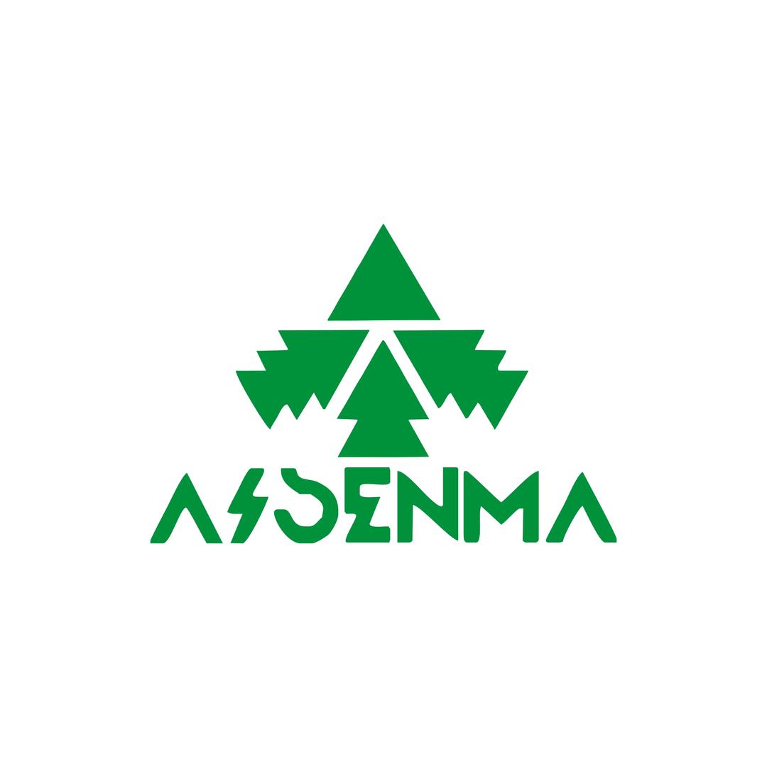 艾森玛AISENMA服饰