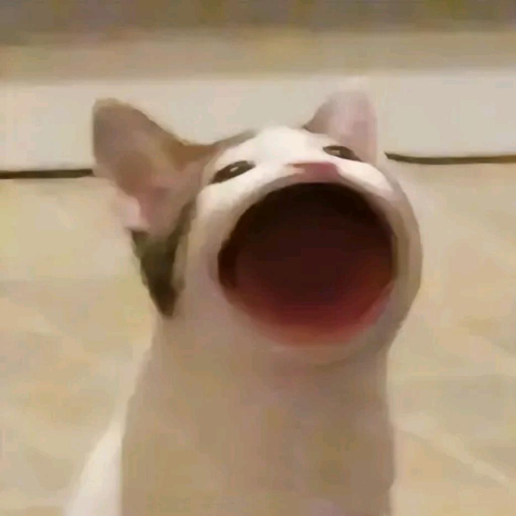 🌈田田向上🦦