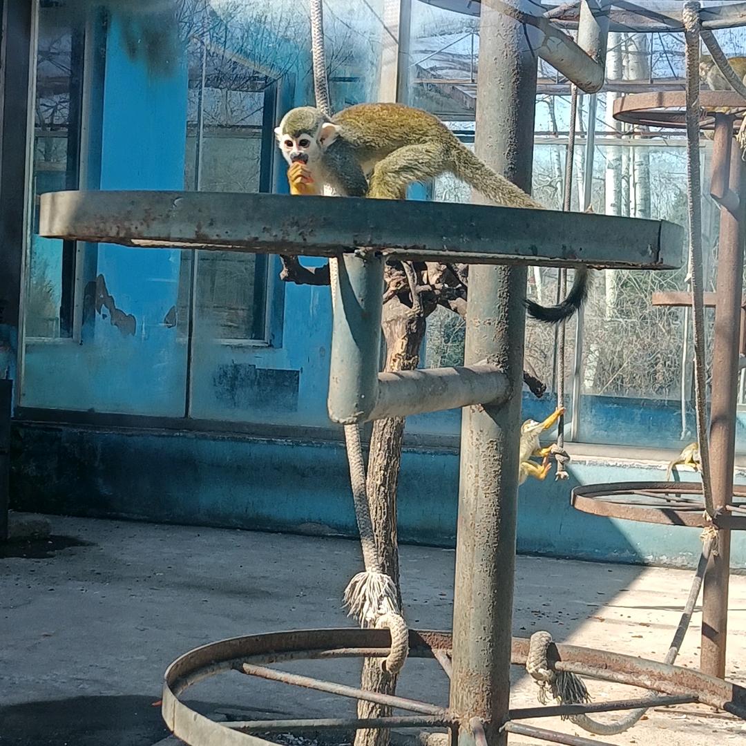 🚬ᥫᦸᐝ封心ོ࿆ྃ锁爱ꦿ࿐