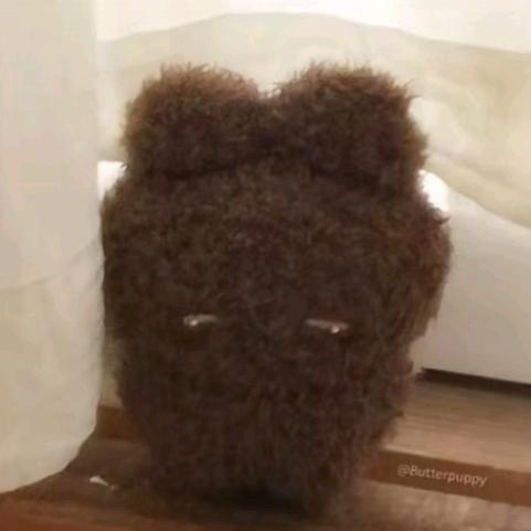 看迪迦的奥特曼