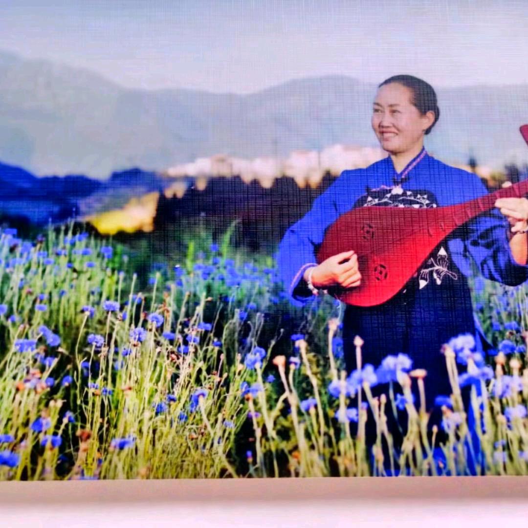 九寨采花琵琶姐