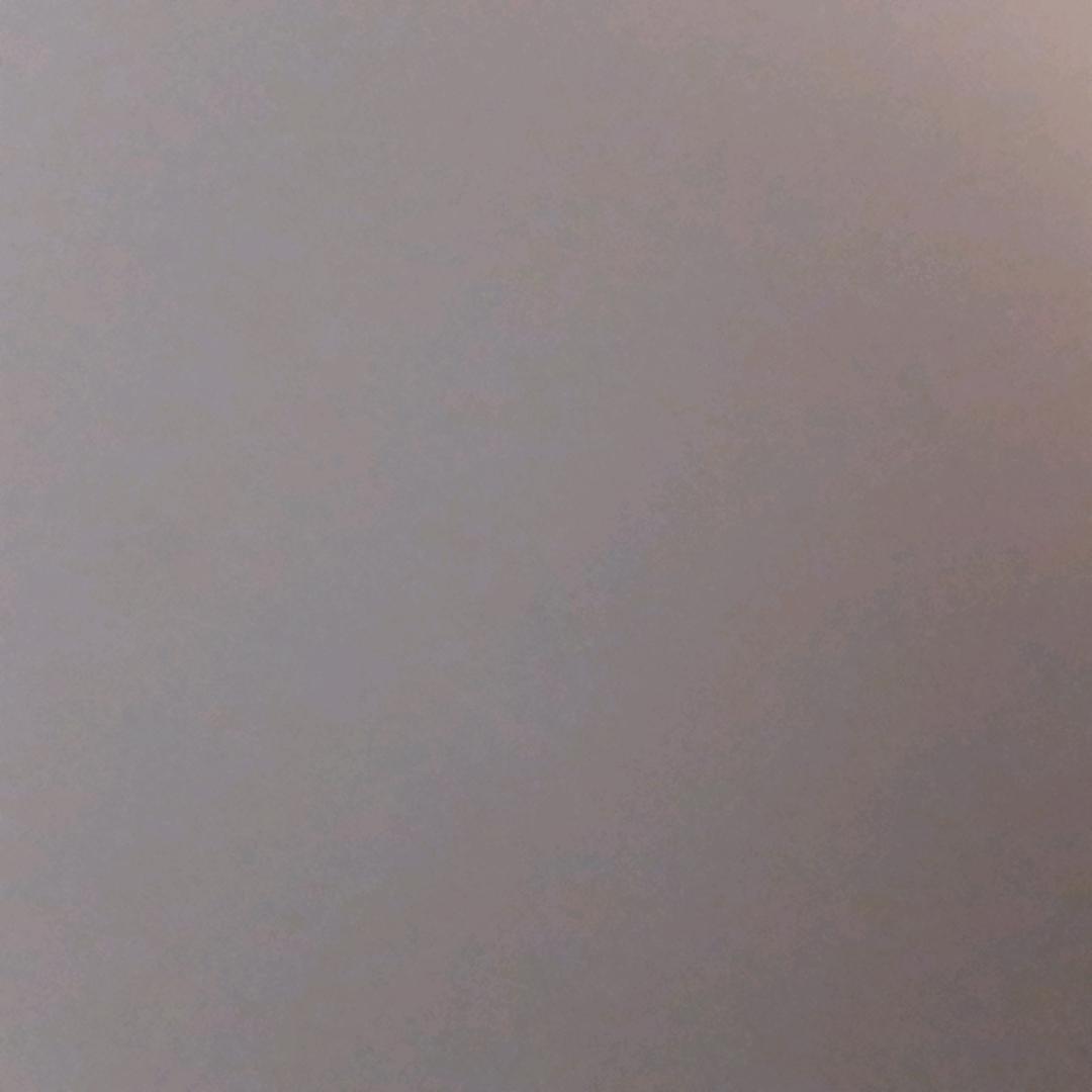 乐乐