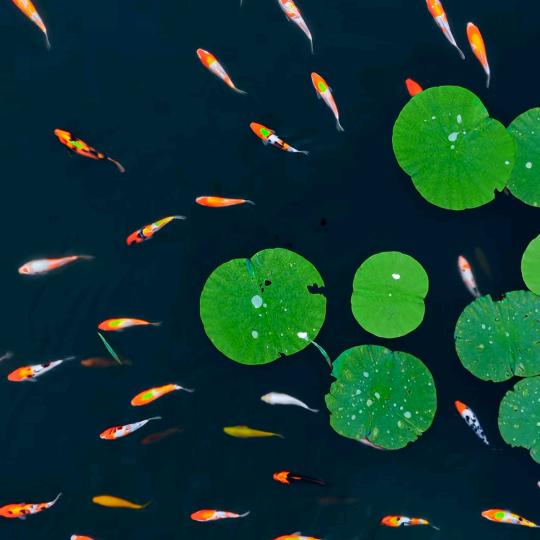 路过人间烟火　            ＼