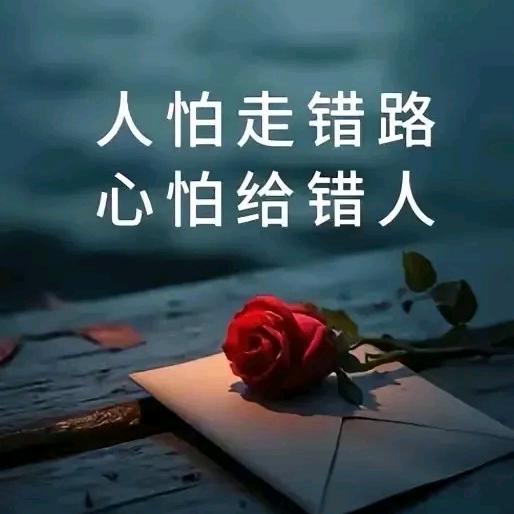 人怕无情心怕伤
