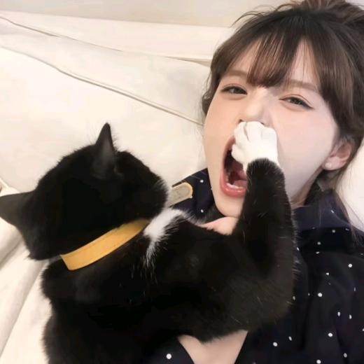 猫᳐猫咪吖੭