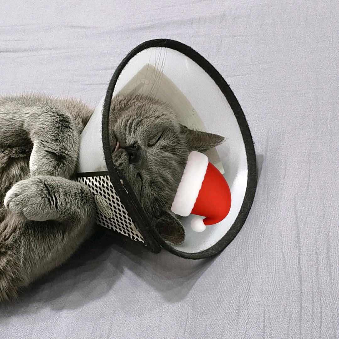 何穗