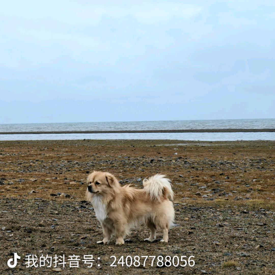 江苏自考助学（专接本）姜老师