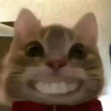 可达鸭ā