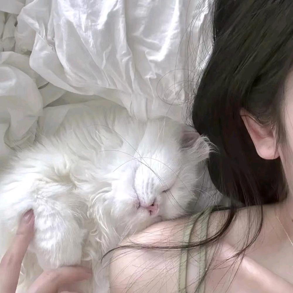 ༄不甜