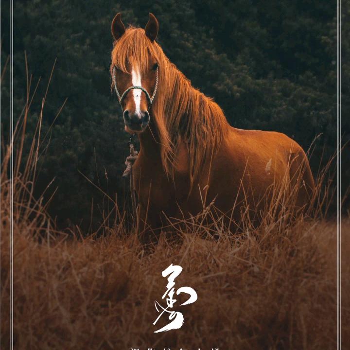 ᠭᠠᠡᠭᠭᠠᠡᠭ      𑪞，