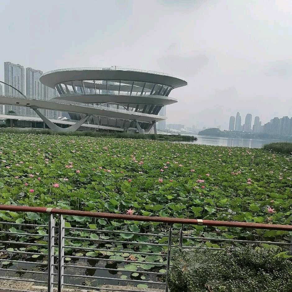 湄州岛