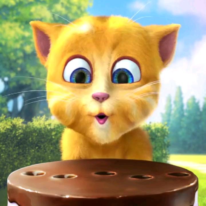 汤姆是只猫