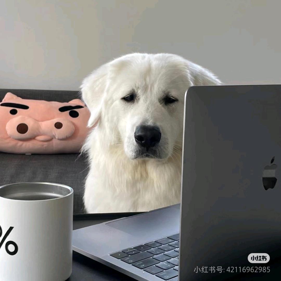 外卖东