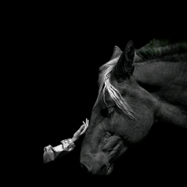 布和特木尔，东乌