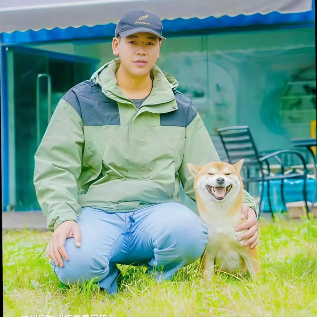 杭州叶问训犬