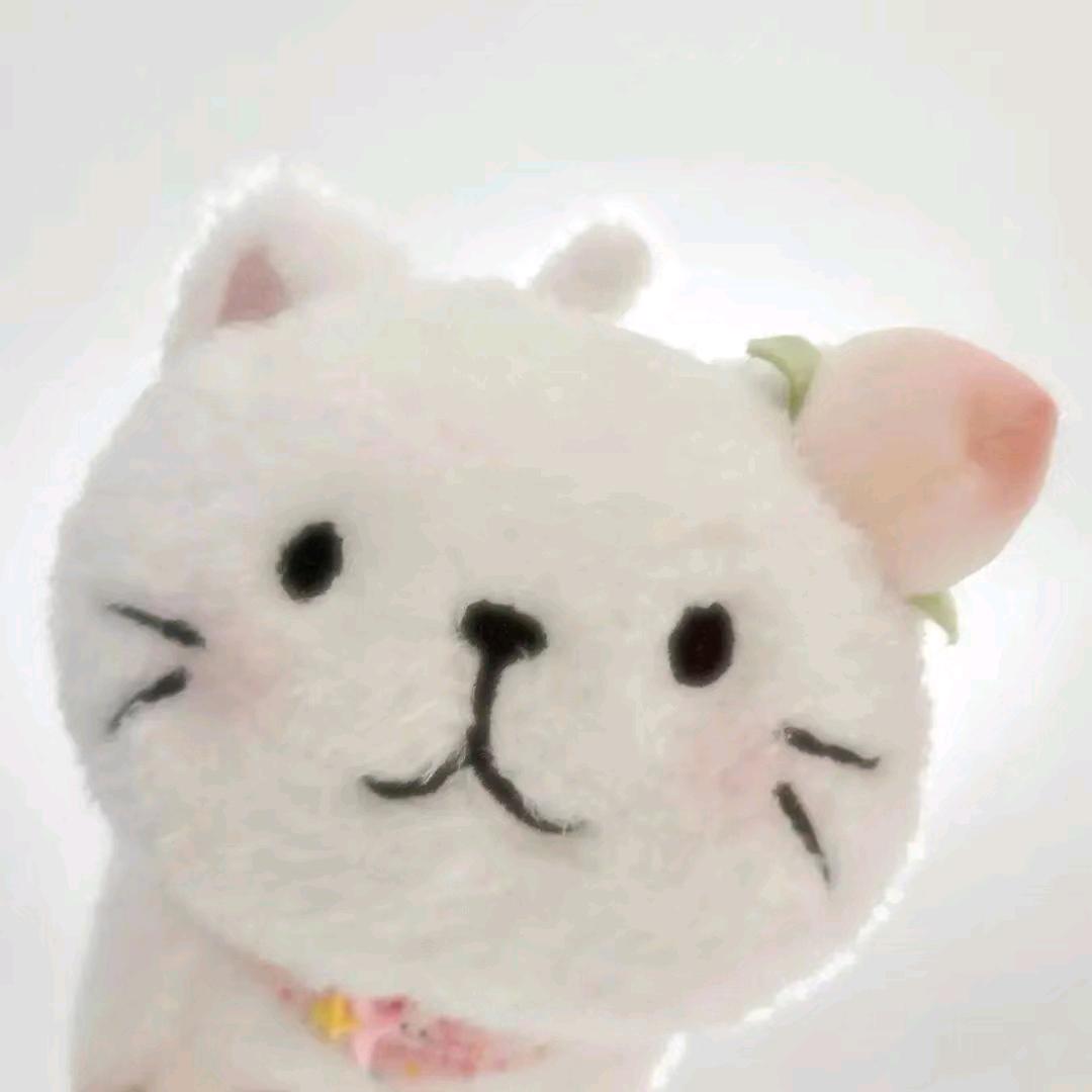 純白な猫ちゃん