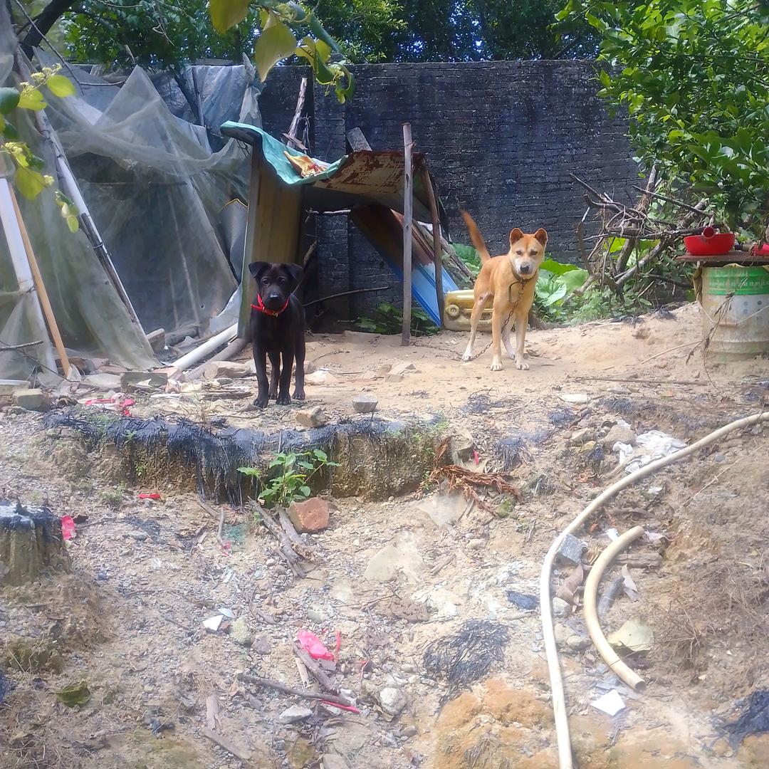 🔥输赢看淡，不服就干