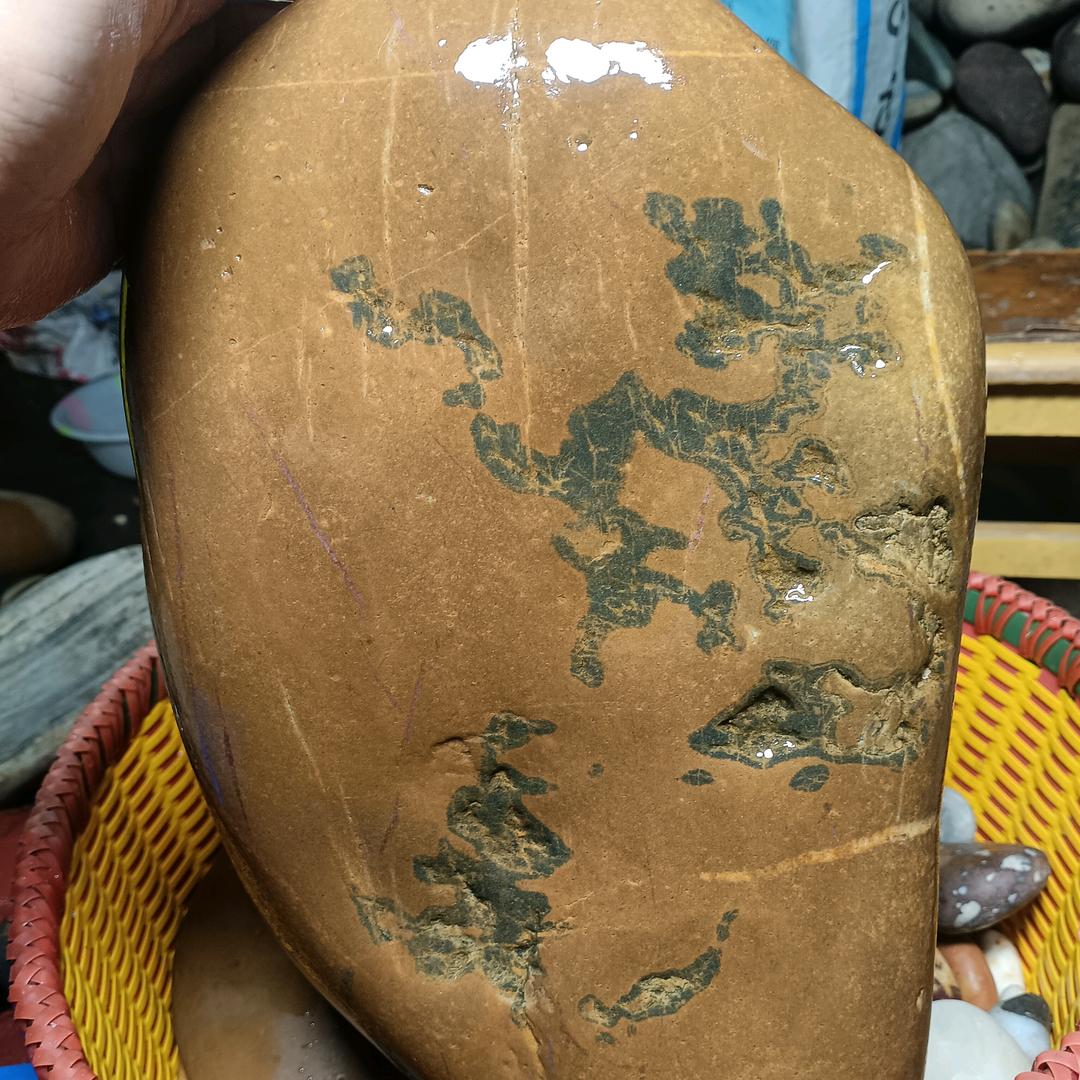 支小波