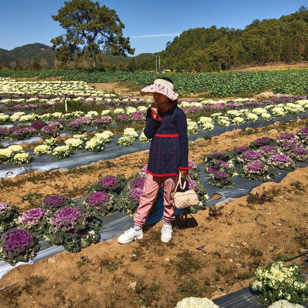 相爱不容易，人生这么难