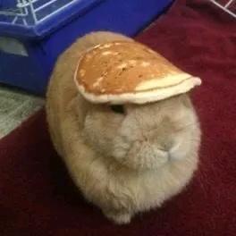 十